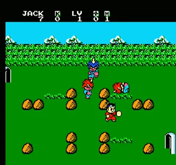 Little Ninja Brothers (USA) screen shot game playing